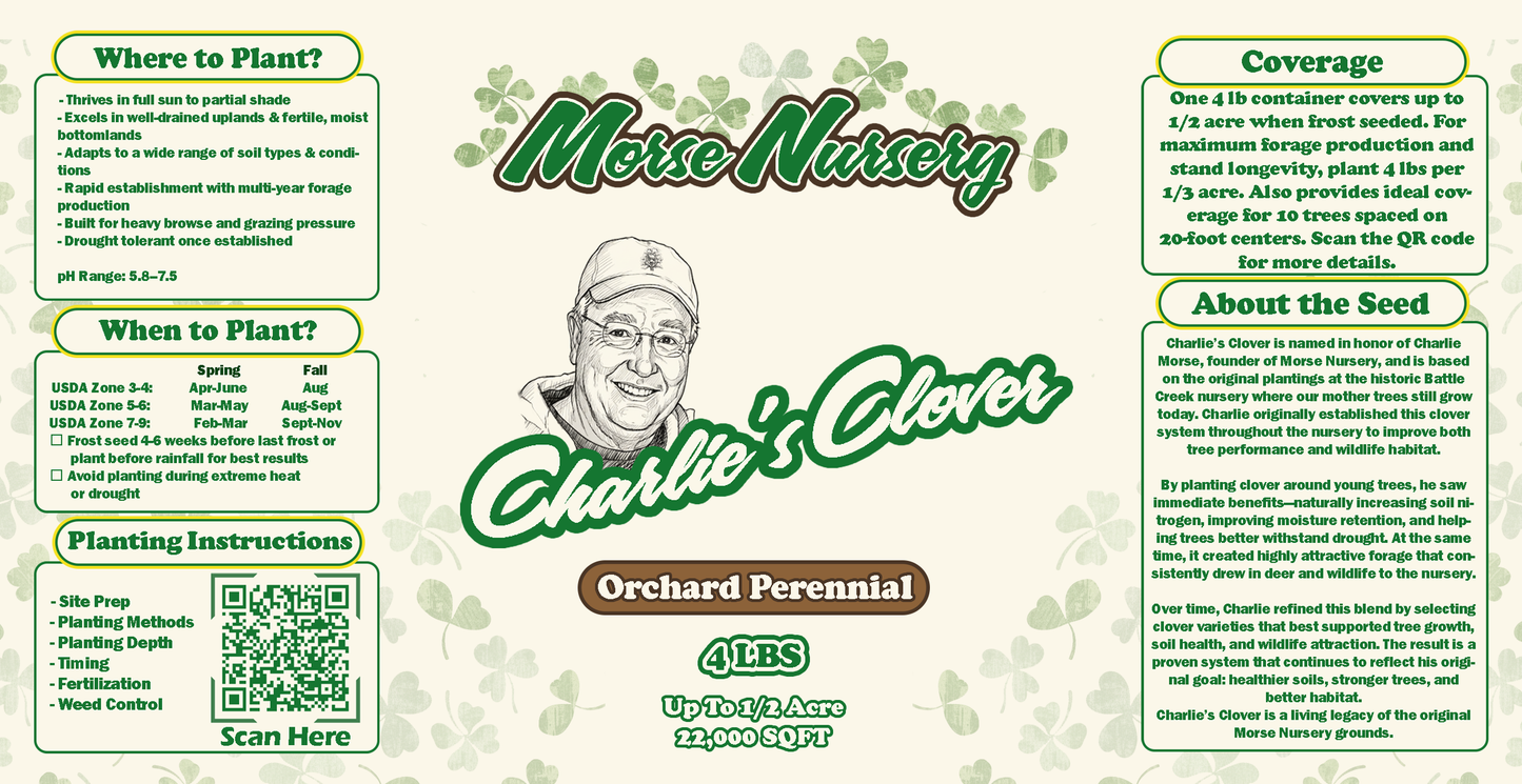 Charlie's Clover - Orchard Perennial - 4LBS