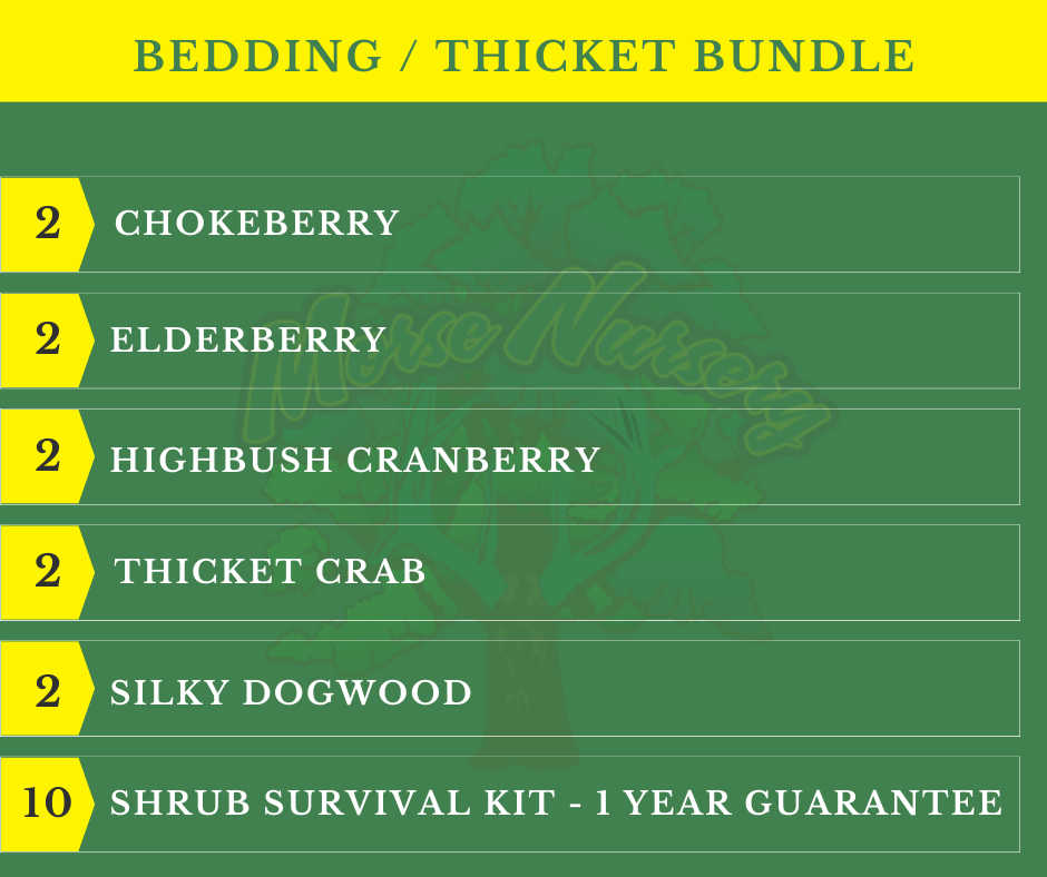 Bedding / Thicket Bundle | 10 Shrubs + Kits - Morse Nursery