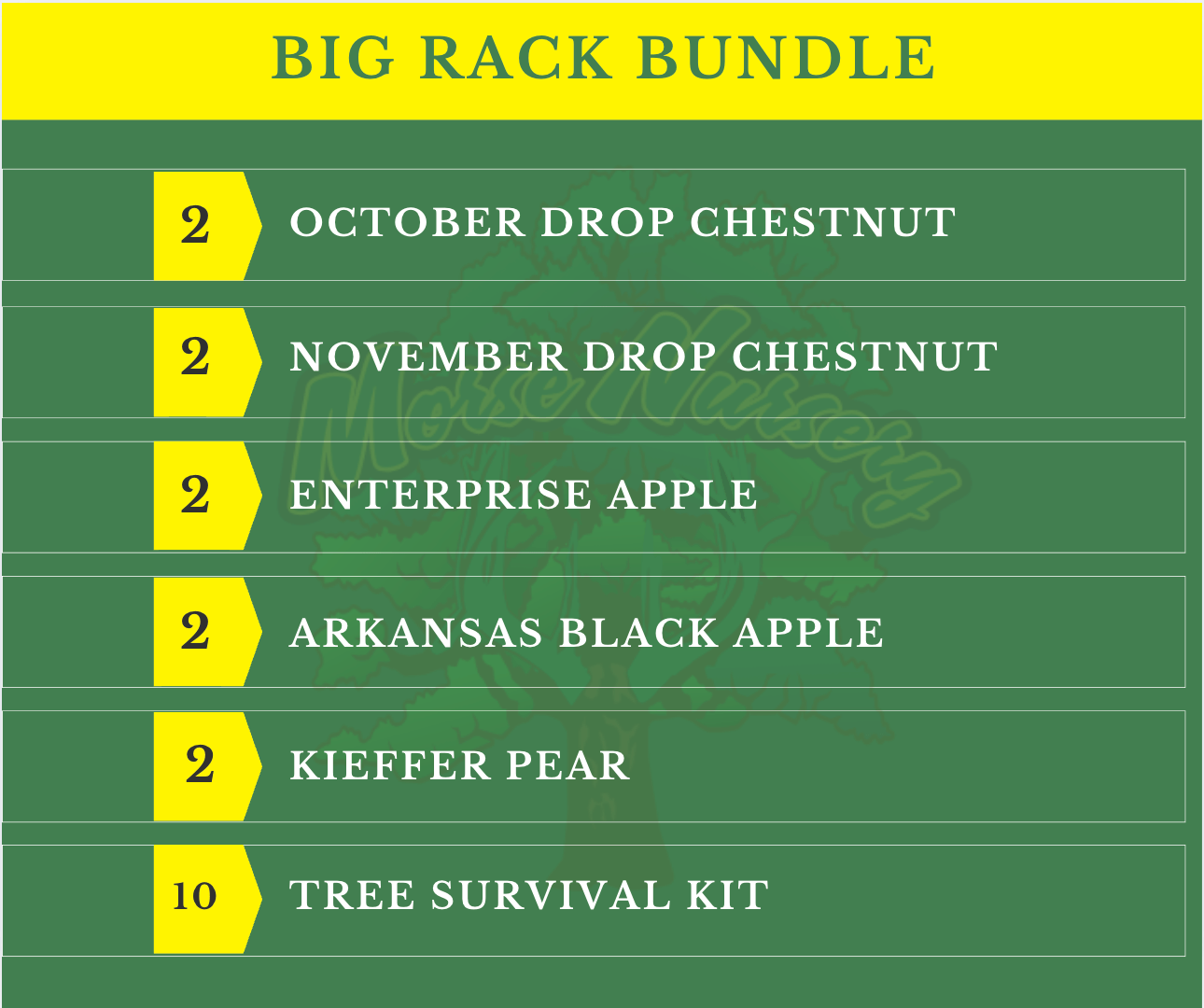 Big Rack Bundle |18" - 36"| 10 Trees + Kits! - Morse Nursery