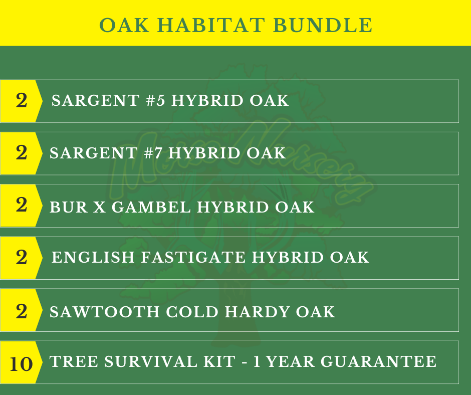 Oak Habitat Bundle |18" - 36"| 10 Trees + Kits! - Morse Nursery