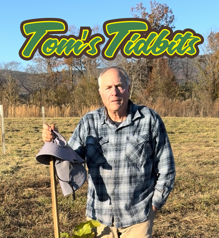 Man holding a hat and walking stick in a field with 'Tom's Tidbits' text overlay.