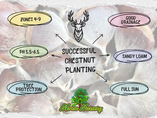 Best Locations and Soil Types for Planting Chestnut Trees