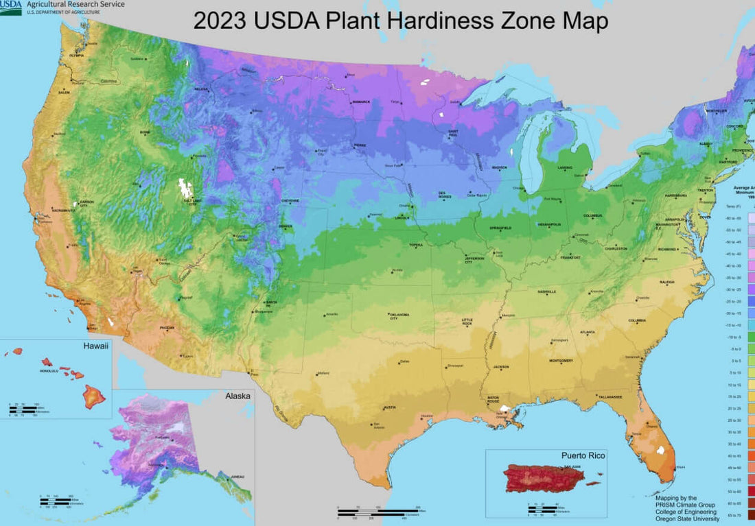 New Planting Frontiers for Hunters in Wisconsin and Minnesota