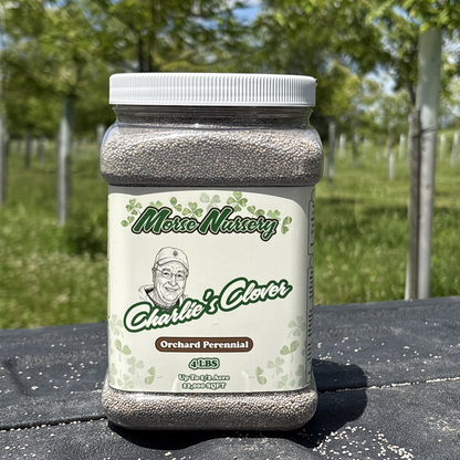 Charlie's Clover - Orchard Perennial - 4LBS