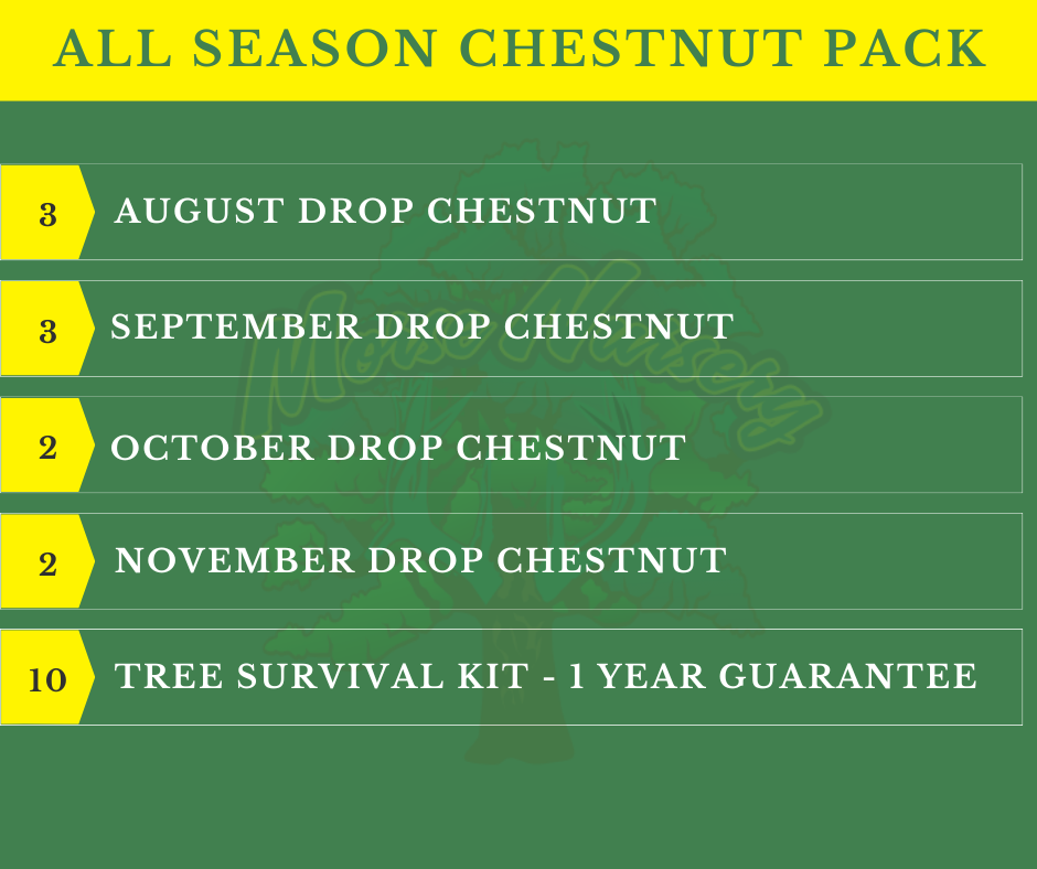 All Season Chestnut Pack - 10 Trees  + Kits!