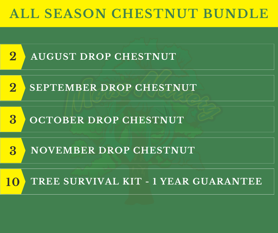 All Season Chestnut Bundle - 10 Trees  + Kits!