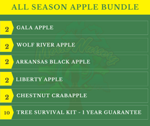 All Season Apple Bundle |18" - 36"| 10 Trees + Kits