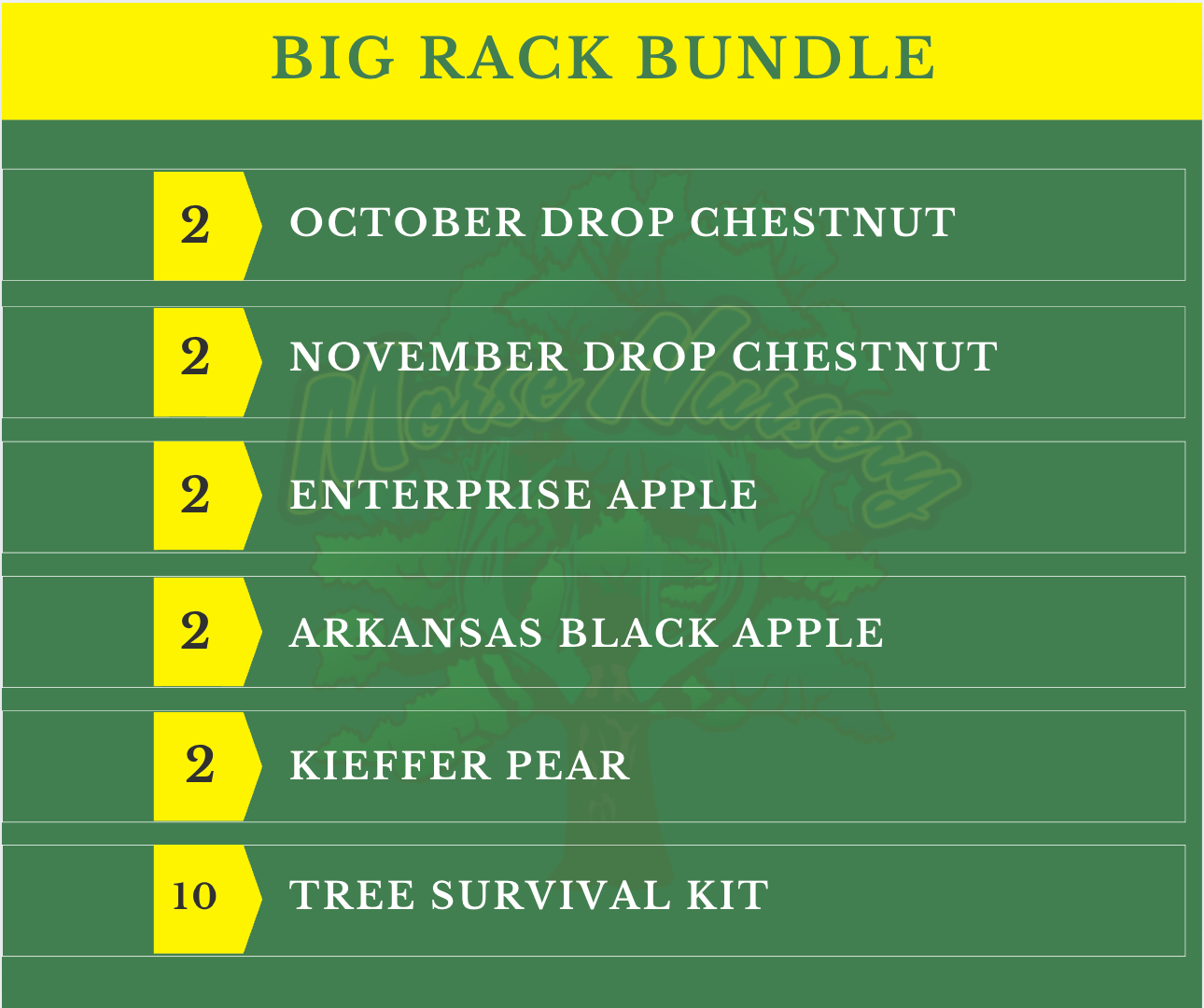 Big Rack Bundle - 10 Trees + Kits!