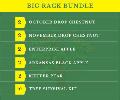Big Rack Bundle |18"-36"| 10 Trees + Kits!