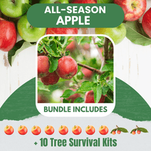 All Season Apple Bundle |18" - 36"| 10 Trees + Kits - Morse Nursery