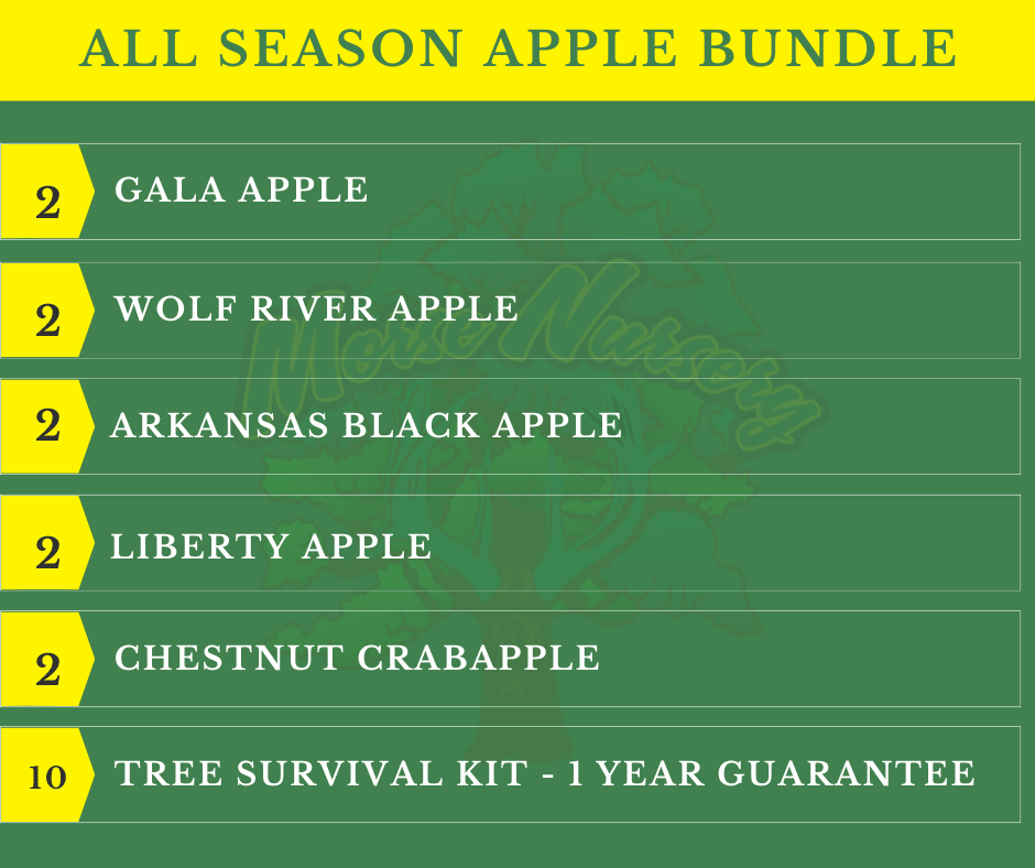All Season Apple Bundle |18" - 36"| 10 Trees + Kits - Morse Nursery