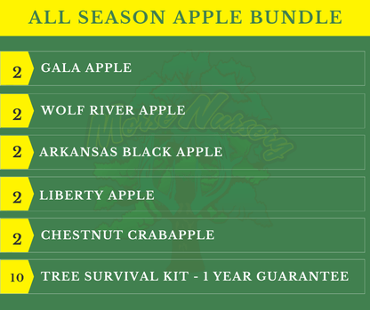 All Season Apple Bundle |18" - 36"| 10 Trees + Kits - Morse Nursery