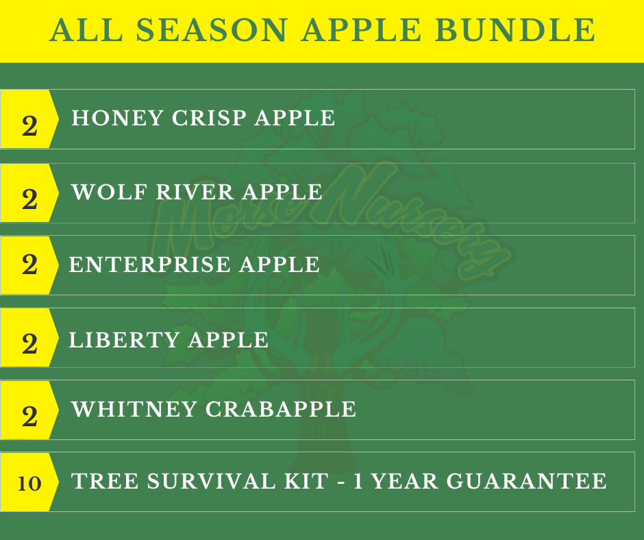 All Season Apple Bundle - 10 Trees + Kits!