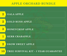 Apple Orchard Bundle |18" - 36"| 10 Trees + Kits - Morse Nursery