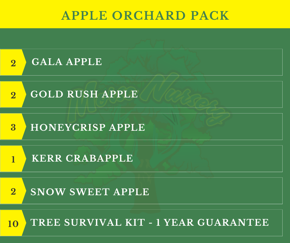 Apple Orchard Pack - 10 Trees + Kits