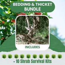 Bedding / Thicket Bundle | 10 Shrubs + Kits - Morse Nursery