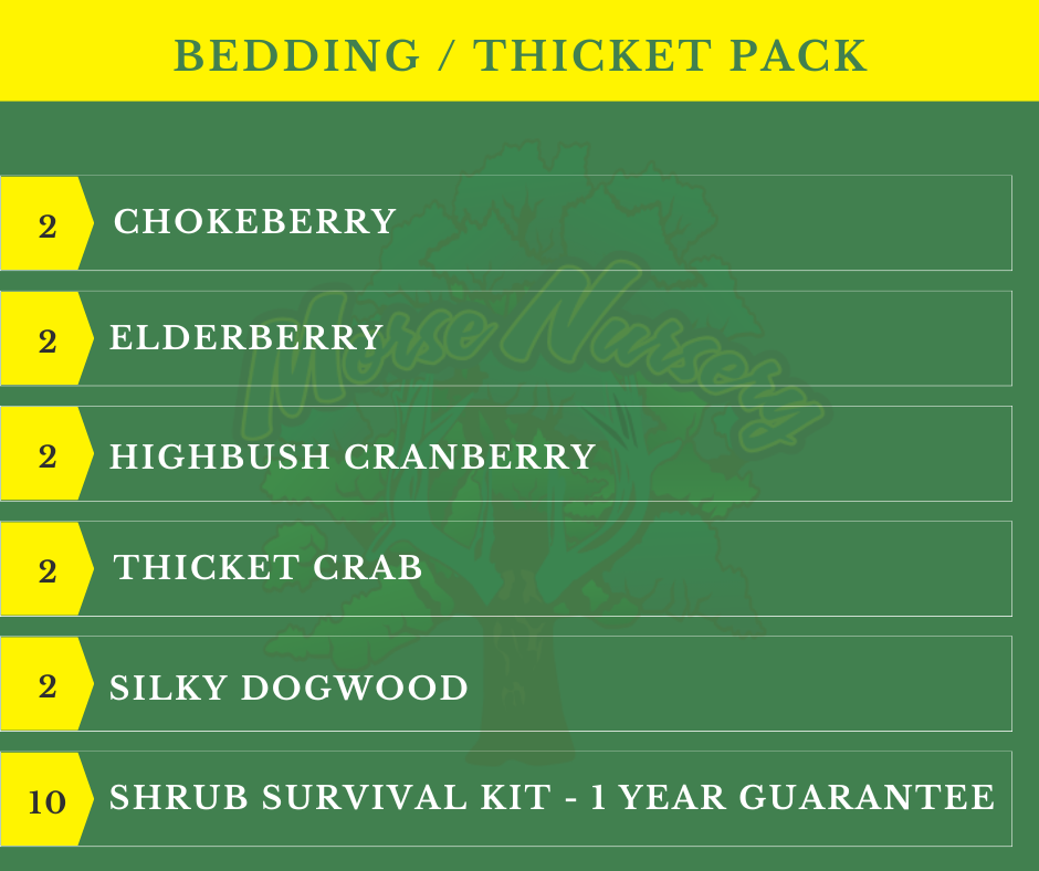 Bedding / Thicket Pack