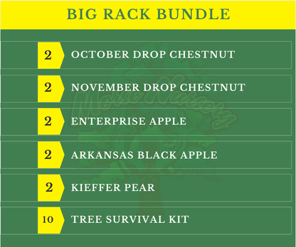 Big Rack Bundle |18" - 36"| 10 Trees + Kits! - Morse Nursery