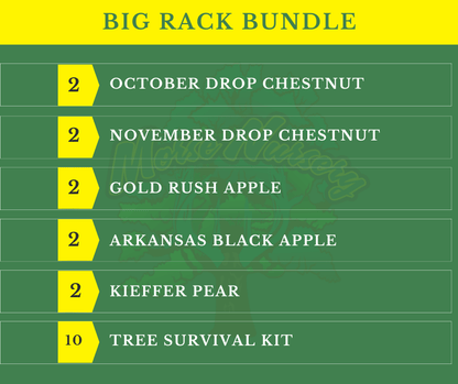 Big Rack Bundle | 36" - 60" | Pear, Apple & Chestnut - Morse Nursery