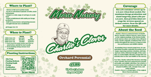 Charlie's Clover - Orchard Perennial - 4LBS - Morse Nursery