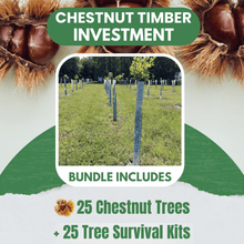Chestnut Timber Investment Bundle - 25 Trees + Kits! - Morse Nursery
