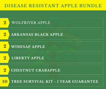 Disease Resistant Apple Bundle |18" - 36"| 10 Trees + Kits - Morse Nursery