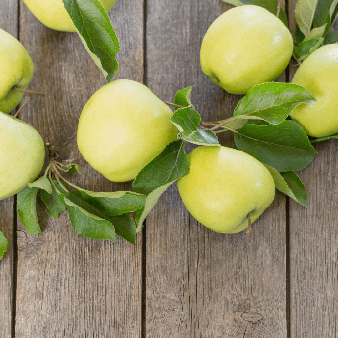 Golden Delicious Apple - Morse Nursery