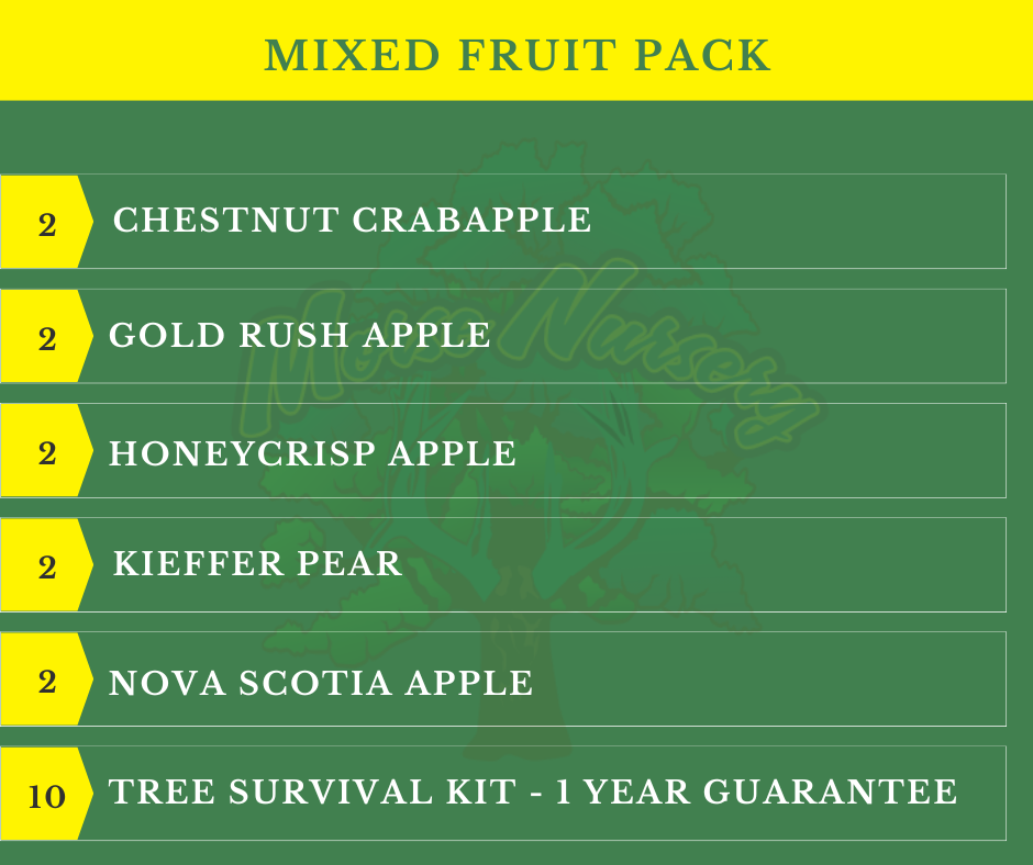 Mixed Fruit Tree Pack - 10 Trees + Kits