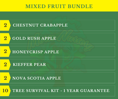 Mixed Fruit Tree Bundle |18" - 36"| 10 Trees + Kits