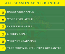 All Season Apple Bundle |18" - 36"| 10 Trees + Kits - Morse Nursery