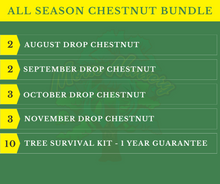 All Season Chestnut Bundle |18"-36"| 10 Trees  + Kits - Morse Nursery
