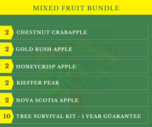 Mixed Fruit Tree Bundle |18" - 36"| 10 Trees + Kits - Morse Nursery