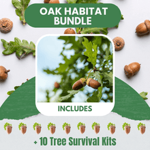 Oak Habitat Bundle |18" - 36"| 10 Trees + Kits! - Morse Nursery