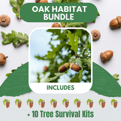 Oak Habitat Bundle |18" - 36"| 10 Trees + Kits! - Morse Nursery