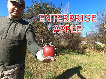 Enterprise Apple