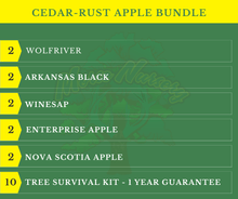 Rust Resistant Apple Bundle |18" - 36"| 10 Trees + Kits - Morse Nursery