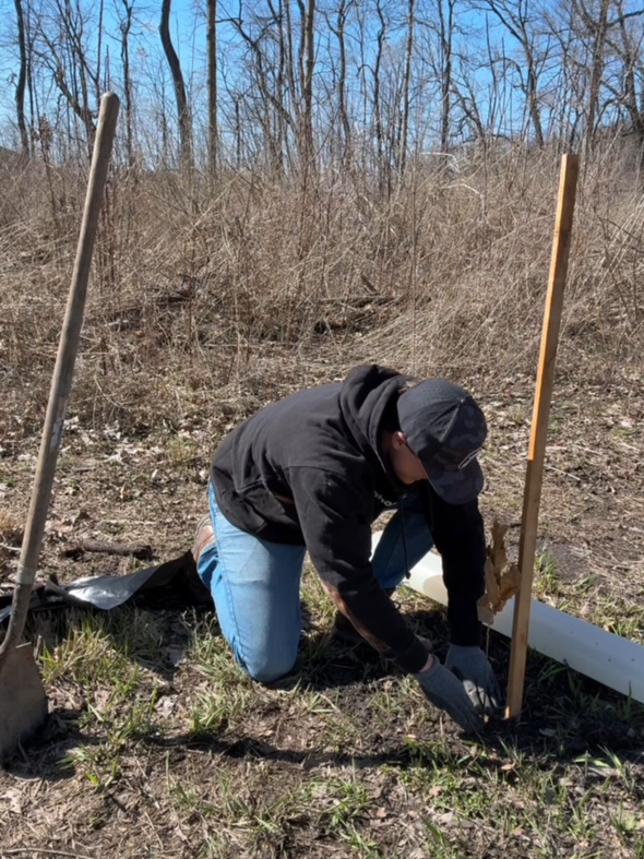 Person planting a tree in a natural setting with bare trees and dry grass.