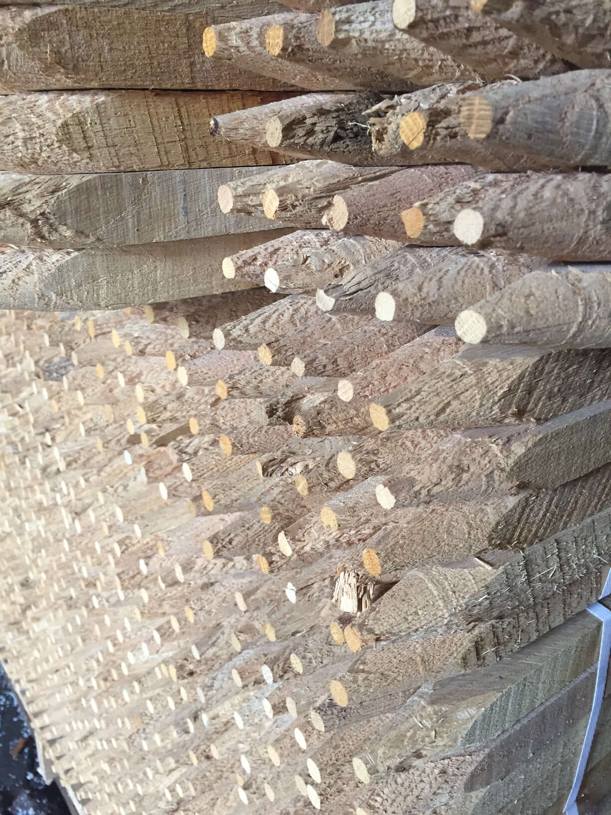 Tree Support Stake - Morse Nursery