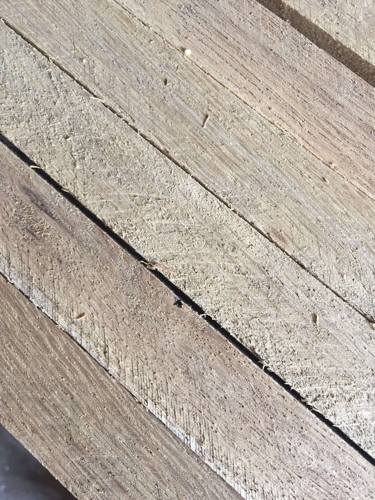 Tree Support Stake - Morse Nursery