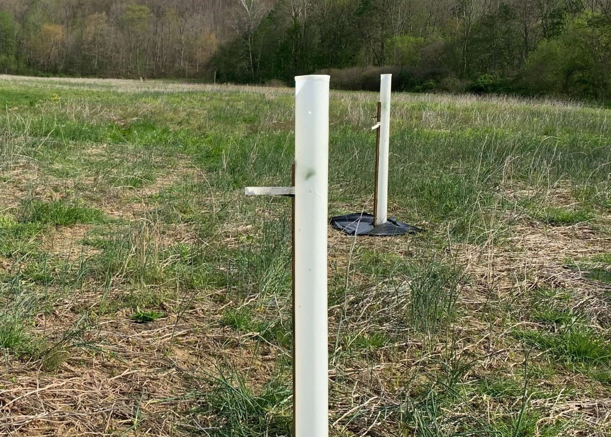 Tree Survival Kit - Tree Pro Tube – Morse Nursery