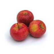 Chestnut Crabapple