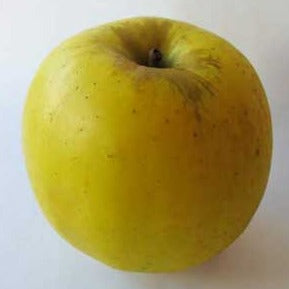 RJ Golden Delicious Apple