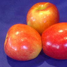 three honey crisp apples on table